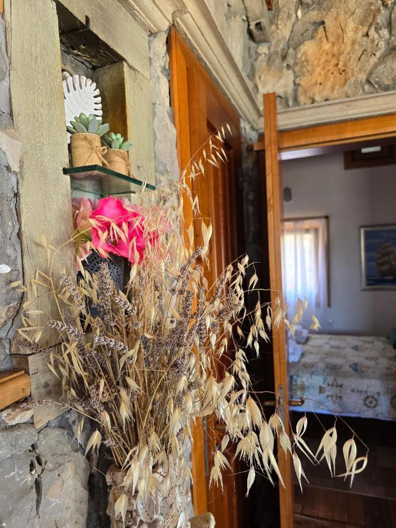 Villa, Stone House With Swimming Pool & Sauna, Beach, 塞维德 外观 照片